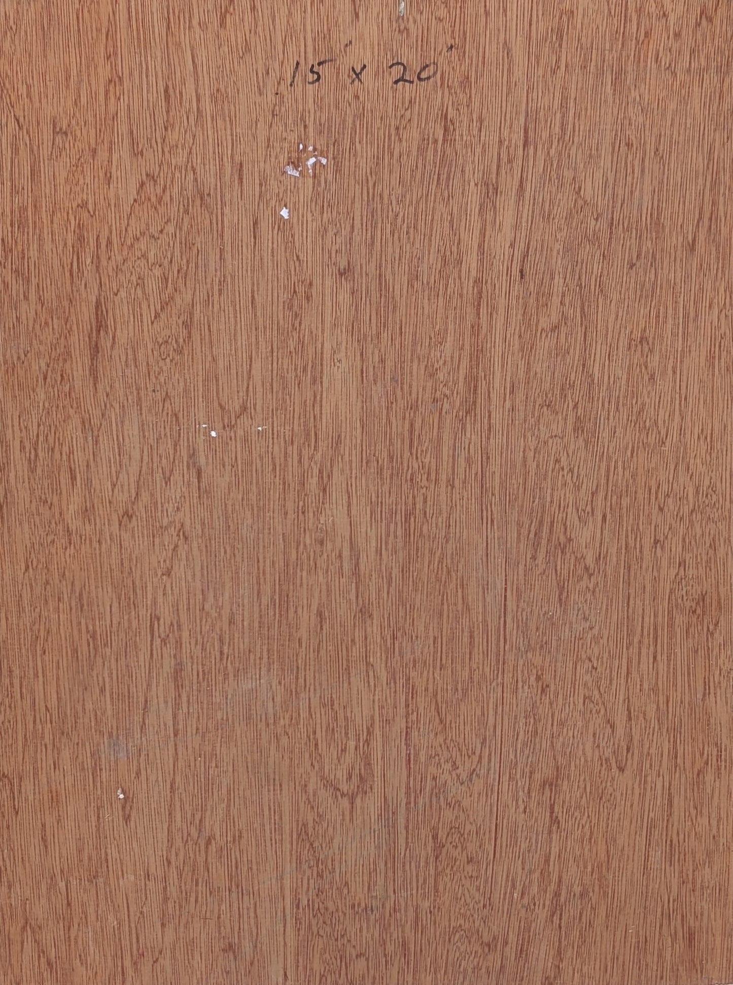 DAVID ADICKES, Modern Abstract Warm Toned Portrait of John Lennon from the Beatles with a Bird, 20th Century