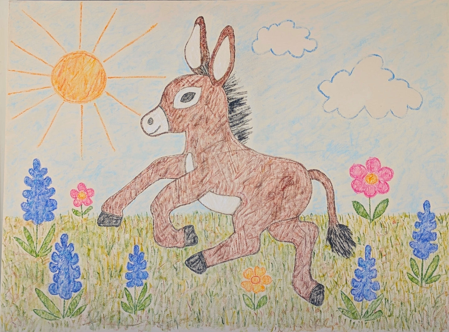 WOOD FANCHER ANTHONY, Contemporary Colorful Oil Painting of a Donkey in a Field, 2026
