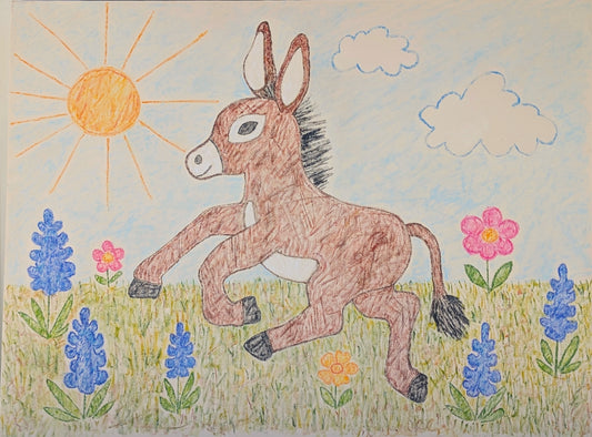WOOD FANCHER ANTHONY, Contemporary Colorful Oil Painting of a Donkey in a Field, 2026